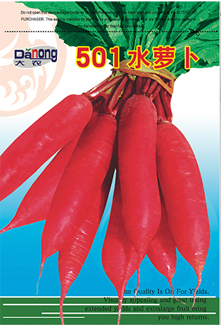 501水蘿卜
