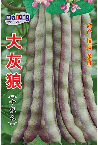 大灰狼（十粒長(zhǎng)）