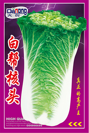 白幫核頭